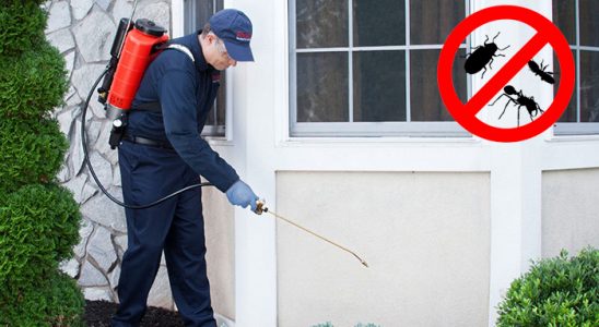 Konyaaltı Tahtakurusu İlaçlama böcek ilaçlama ve haşere kontrolü — ilaclama-tr.com
